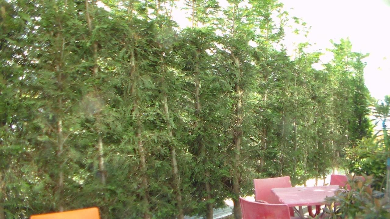 Shkoder Hotel Temali Εξωτερικό φωτογραφία