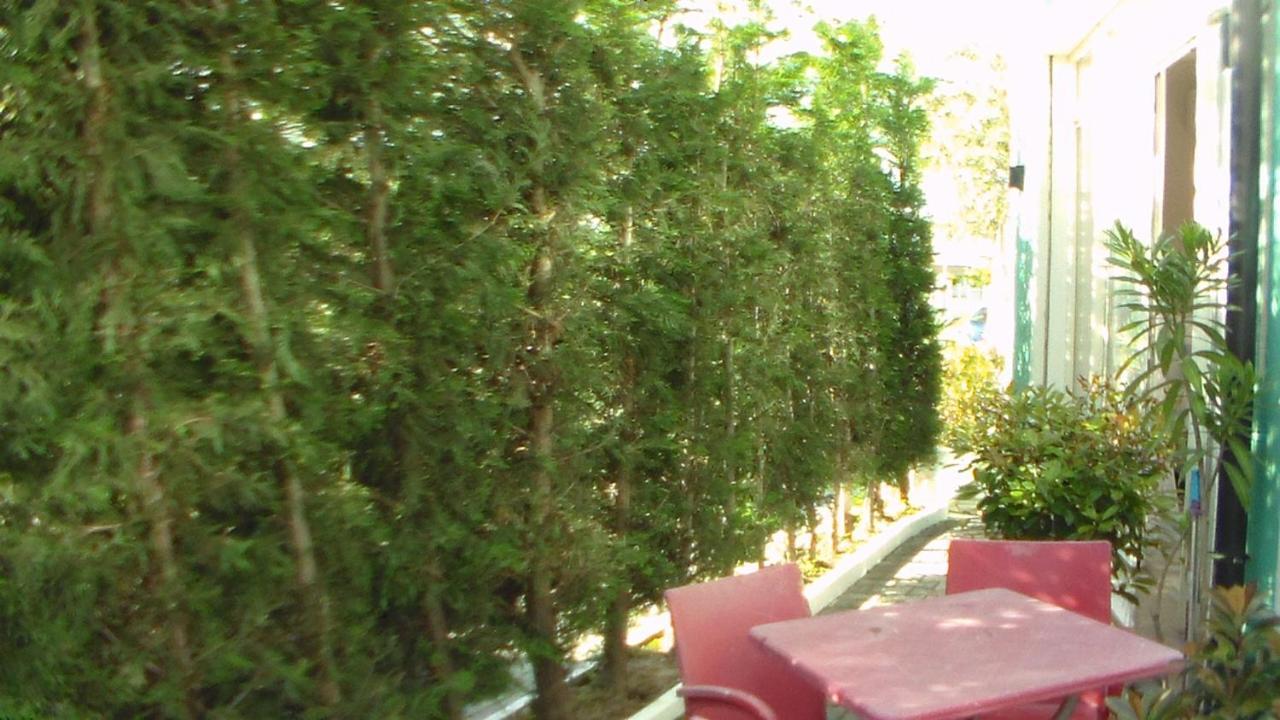 Shkoder Hotel Temali Εξωτερικό φωτογραφία
